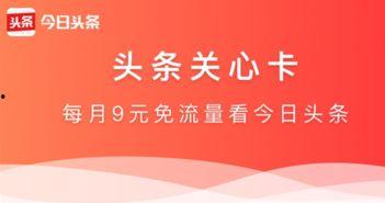 头条关注人数不符,头条平台关注人数不符真相曝光”