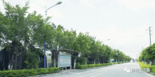 南和区西徐庄村网红打卡,网红打卡地，古韵新颜魅力无限