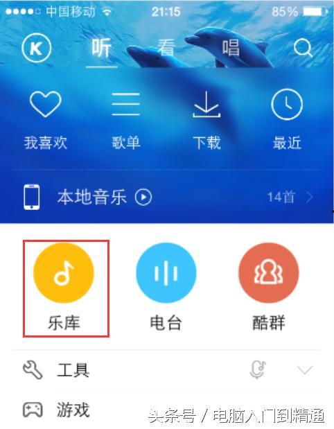 头条下载的音乐,旋律中的潮流风向标