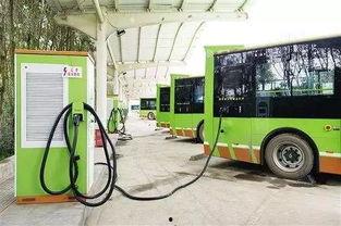 美媒爆料公交车视频,公交车内惊人一幕引发热议