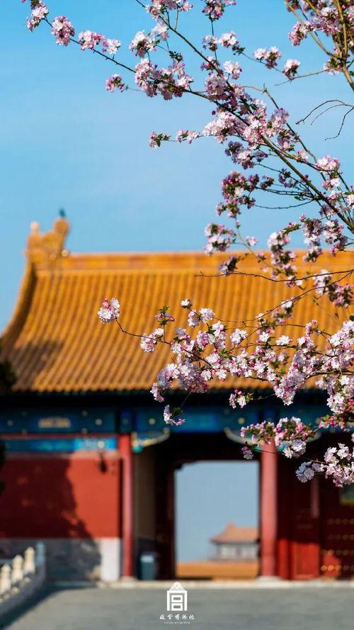 网红去故宫,穿越古今的时尚之旅