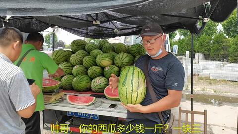 标准吃瓜,一场全民参与的“瓜界盛宴”